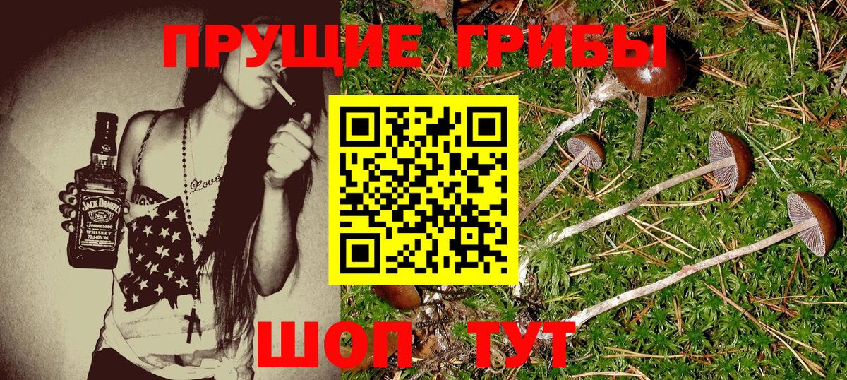 Галлюциногенные грибы MAGIC MUSHROOMS Лысьва